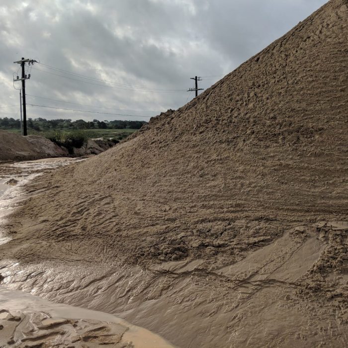 PHOTO-2023-04-04-17-14-15 (1)