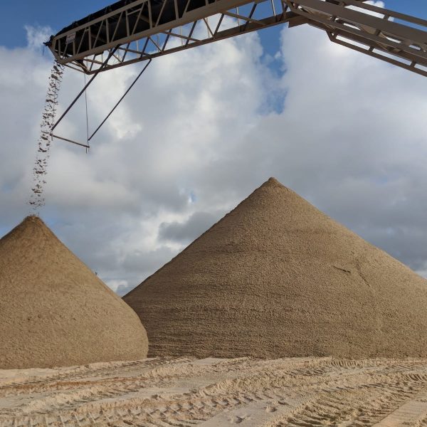 PHOTO-2023-04-04-17-14-15 (2)