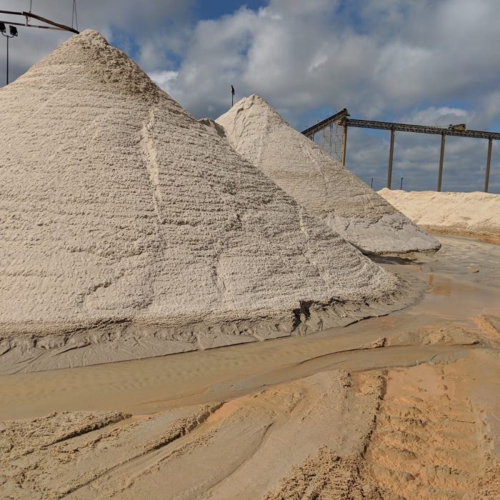 PHOTO-2023-04-04-17-14-16 (1)