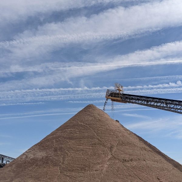 PHOTO-2023-04-04-18-03-29 (3)